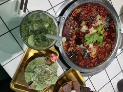 -晓彭肥肠鸡(茂业天地店)
