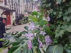 -小河直街历史文化街区