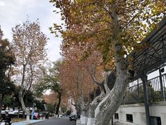 -浙江大学(玉泉校区)