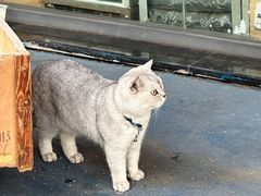 -广州科技贸易职业学院