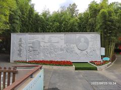 -陈家山荷花公园
