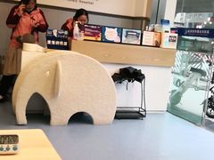 -伟伟宠物医院·瑞派猫友好医院·猫科(光谷店)