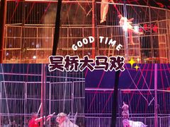 -吴桥杂技大世界