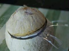 android_upload_pic-椰爺爺·椰子冻砵仔糕