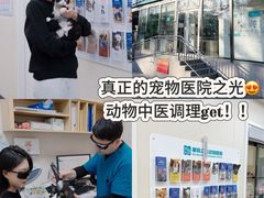 -美联众合爱康动物医院•复杂内科•肿瘤科•牙科•腔镜诊疗中心