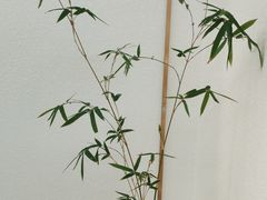 -八马茶业·茶馆茶室(罗湖万象城店)