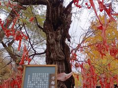 -水峪民俗村