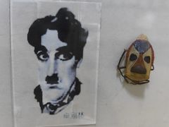 -上海大自然野生昆虫馆