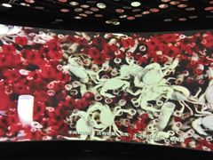 -同济大学四平路校区深海探索馆