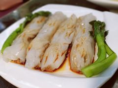 -云中小雅