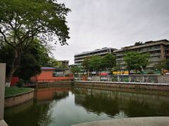 -金砂公园