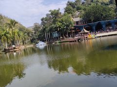 -西双版纳原始森林公园