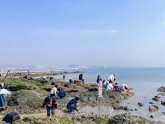 -巧克力渔家.小船海鲜胶东菜(万平口店)