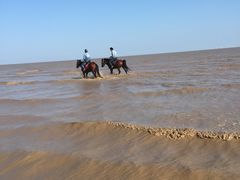 -南汇嘴观海公园