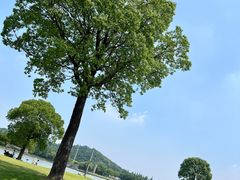 -上海月湖雕塑公园
