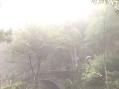 -东天目山风景区