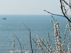 -辽宁团山国家级海洋公园