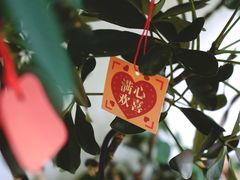 -本無咖啡·BeanWood Coffee