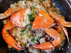 肉饼-园林美食城·本土农家菜(杨和镇店)