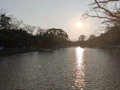 -江心屿景区