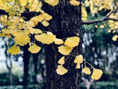 -苏州河梦清园环保主题公园