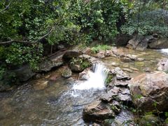 景点-天门沟九州驿站树上汤泉