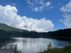 -海南热带雨林国家公园吊罗山景区