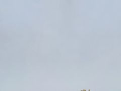 -湖南省地质博物馆