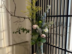 -石家庄市植物园