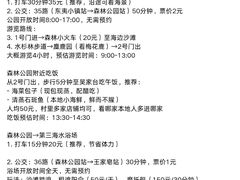 -日照海滨国家森林公园
