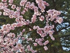 -大连植物园