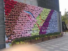 -龙湖星悦荟(颐和店)