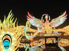 -武汉园博园(武汉自然博物馆)