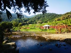 -广州市石门国家森林公园