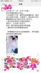 点击看大图 -金夫人婚纱摄影(华南店)