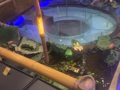 -火福·天湖阁大闸蟹博物馆主题餐厅(浅水湾店)