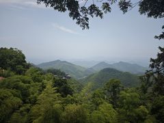 -莫干山风景区