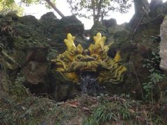 -杭州黄龙洞