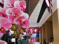 -望蓉城·古法酸菜鱼(世纪汇店)