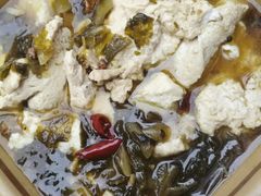 -大邑李记肥肠血旺