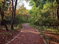 -长春市南湖公园