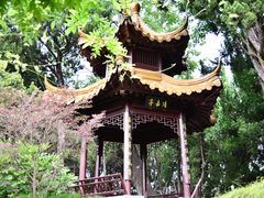 -嘉定紫藤园