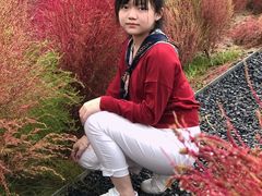 -汉长安城未央宫国家考古遗址公园