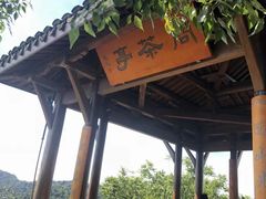 -中国茶叶博物馆(双峰馆区)