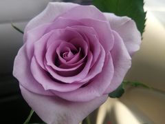 -江南原著(中联广场店)