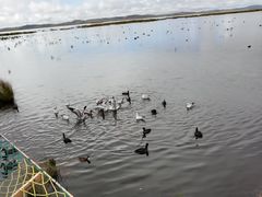 -花湖生态旅游区