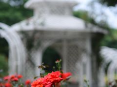 -东湖落雁景区
