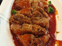 -丁老爷子苏香圆