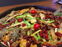 -老板恋上鱼(恒隆广场店)