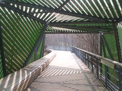 -西湖风景区-江洋畈生态公园
